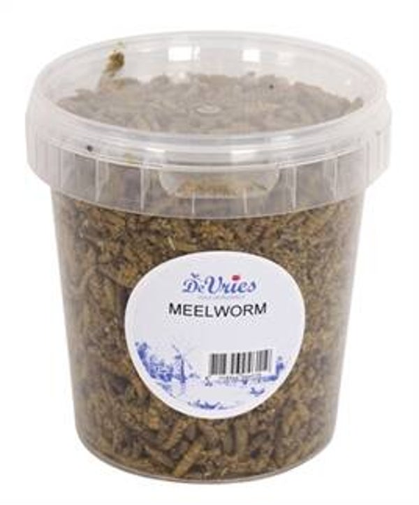 DE VRIES MEELWORM BLACK SOLDIER FLY