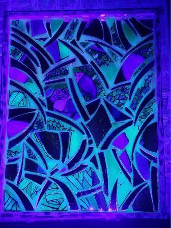 Deforestation, sotto luce UV