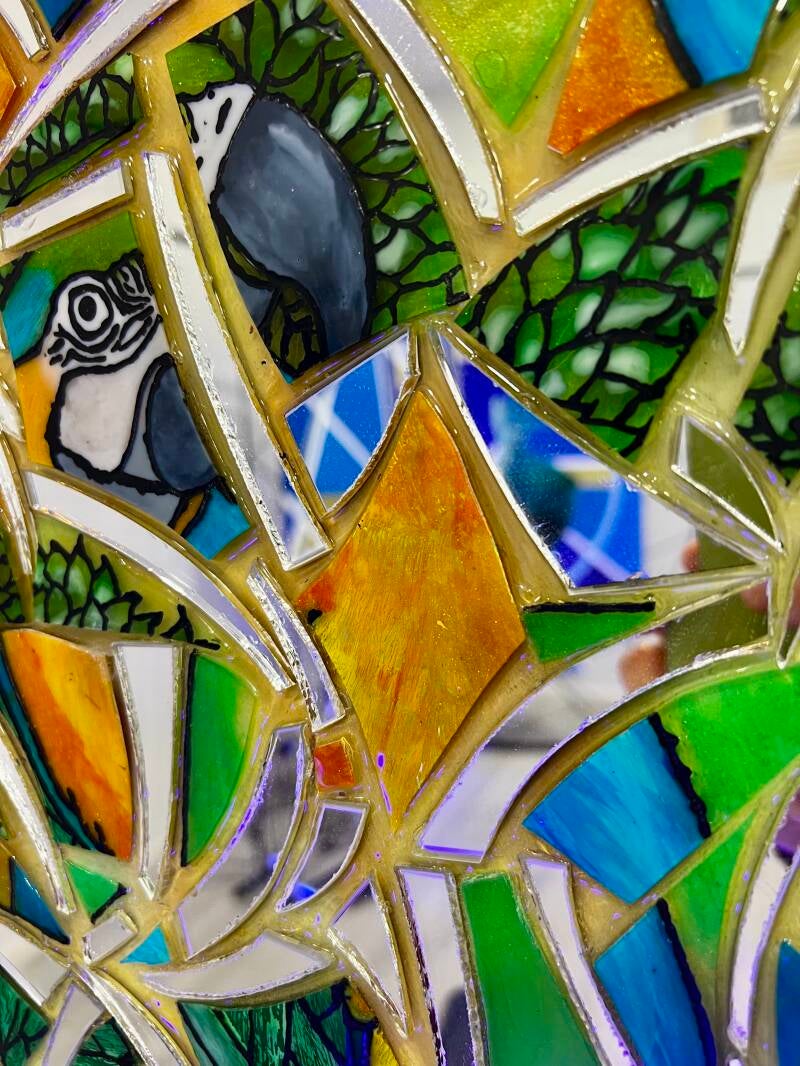 Deforestation, particolare