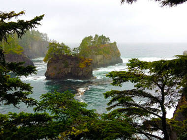 Cape Flattery Trail | Washington