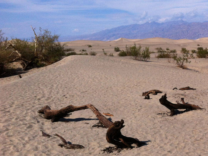 Mesquie Flat Sand Dunes