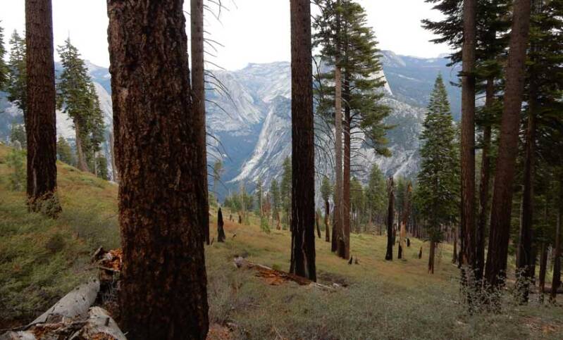 Afdaling Panorama Trail | Yosemite National Park
