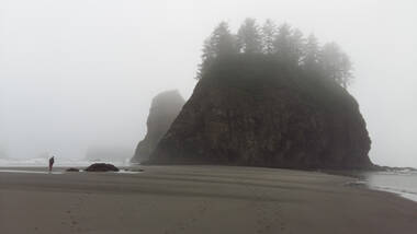 Second Beach | Olympic NP Washington