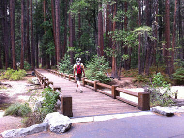 Valley Floor Loop | Yosemite National Park