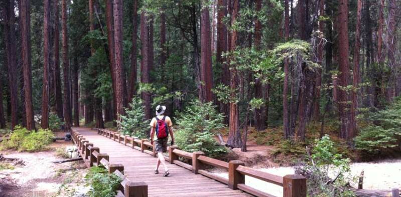 Valley Floor Loop | park Yosemite