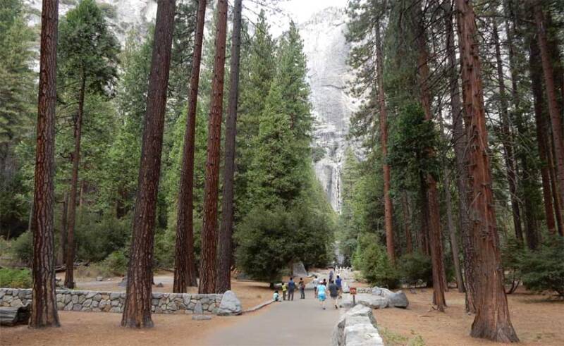 Lower Yosemite Fall Trail