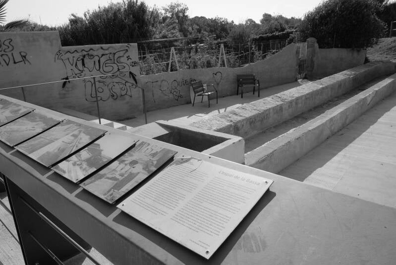 dscf8538-standard-mcjwdx.jpg