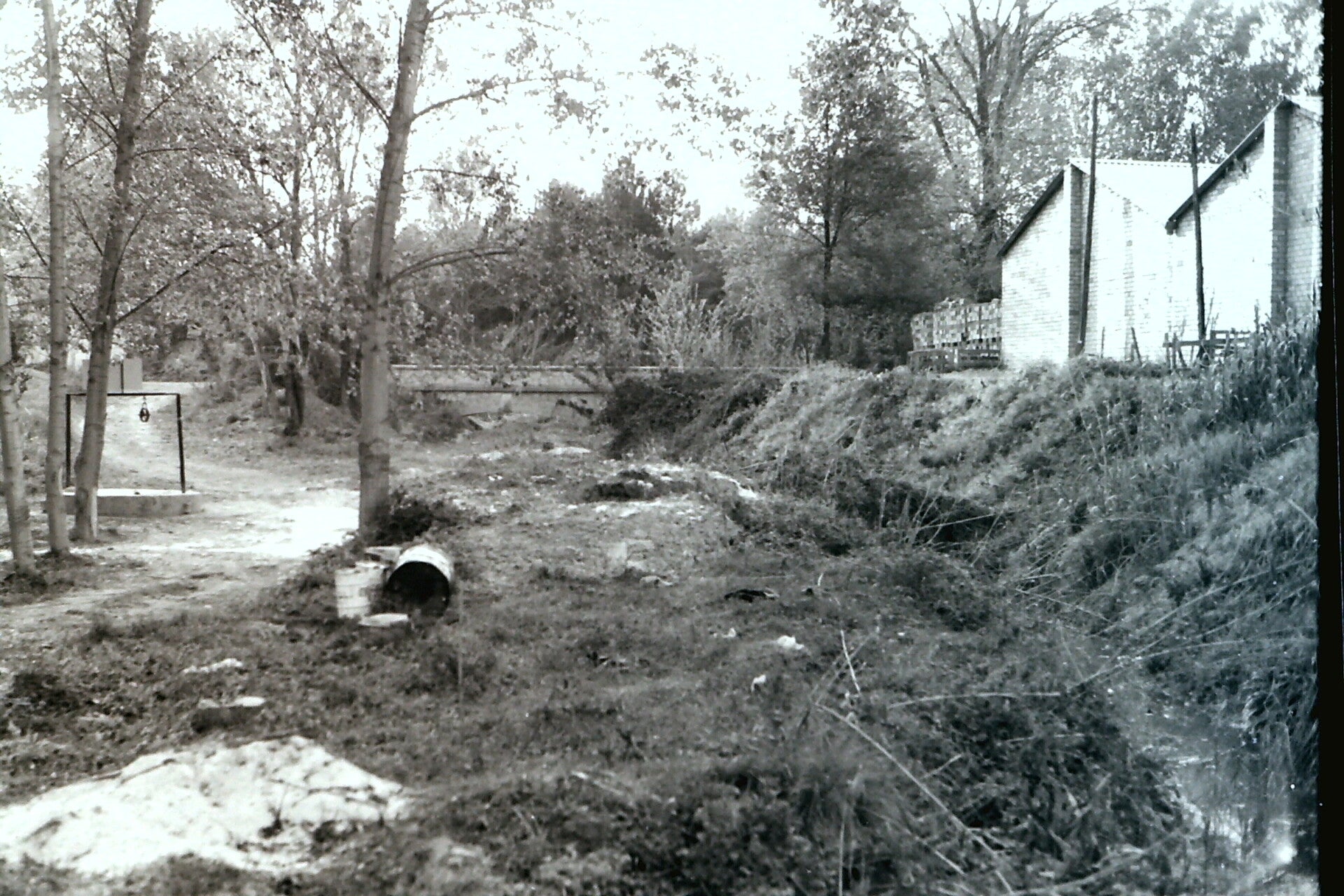 pict0076-standard-7qn5t9.jpg