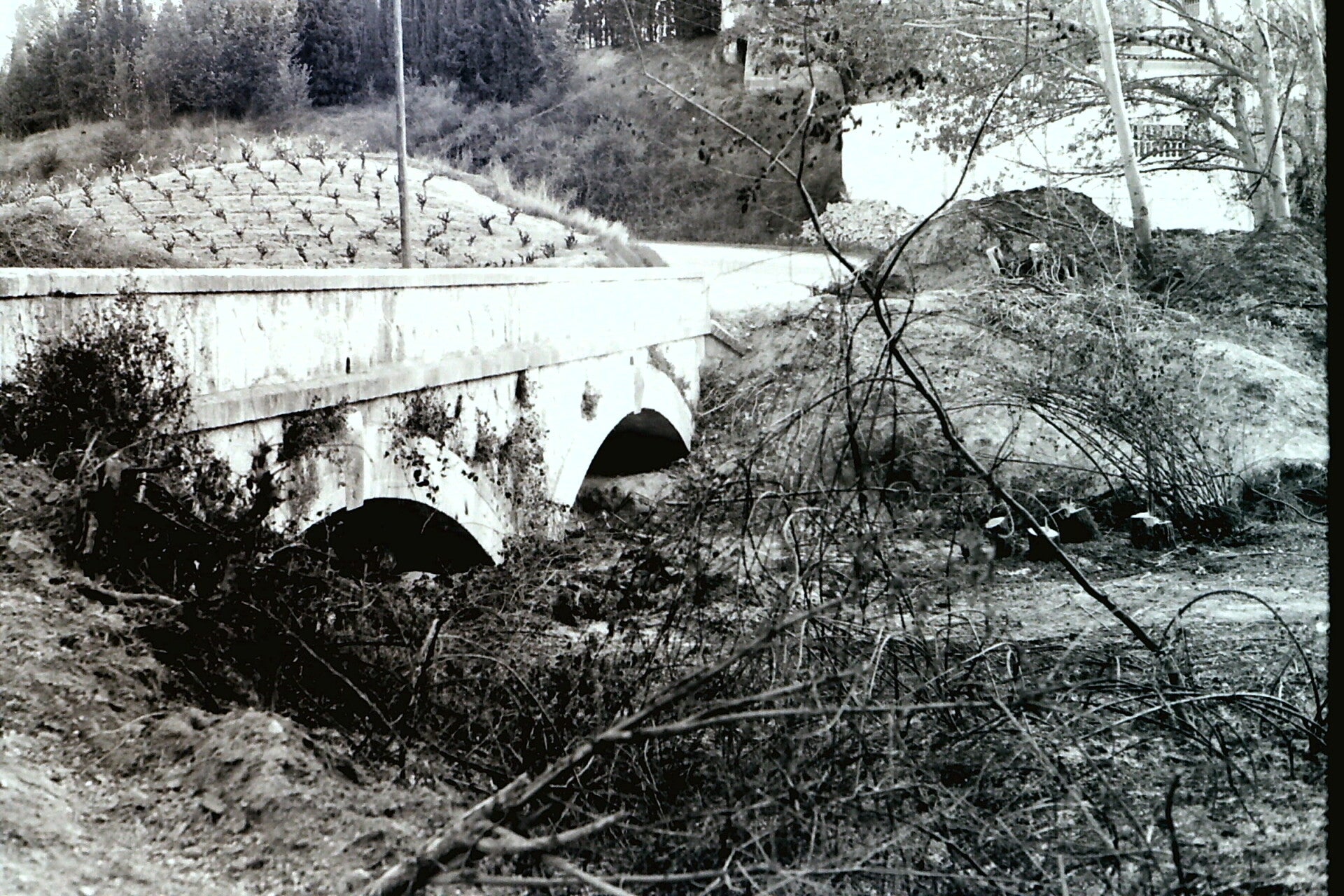 pict0132-standard-091ano.jpg