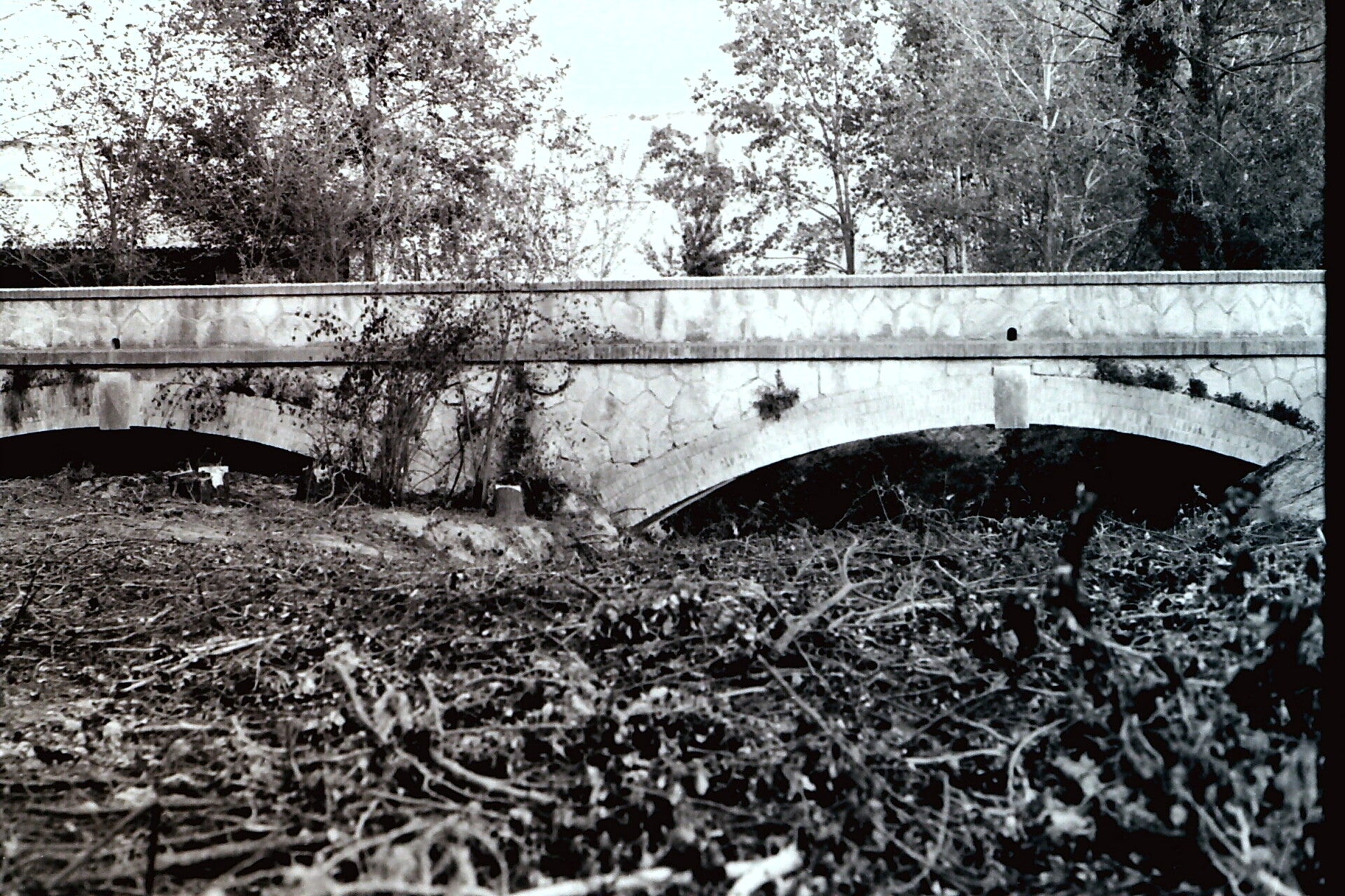 pict0136-standard-e8npif.jpg