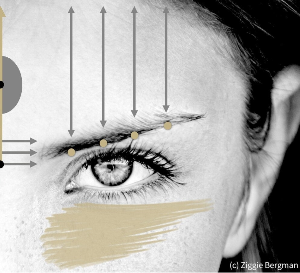 Facial Reflexology. Ziggie Bergman Method