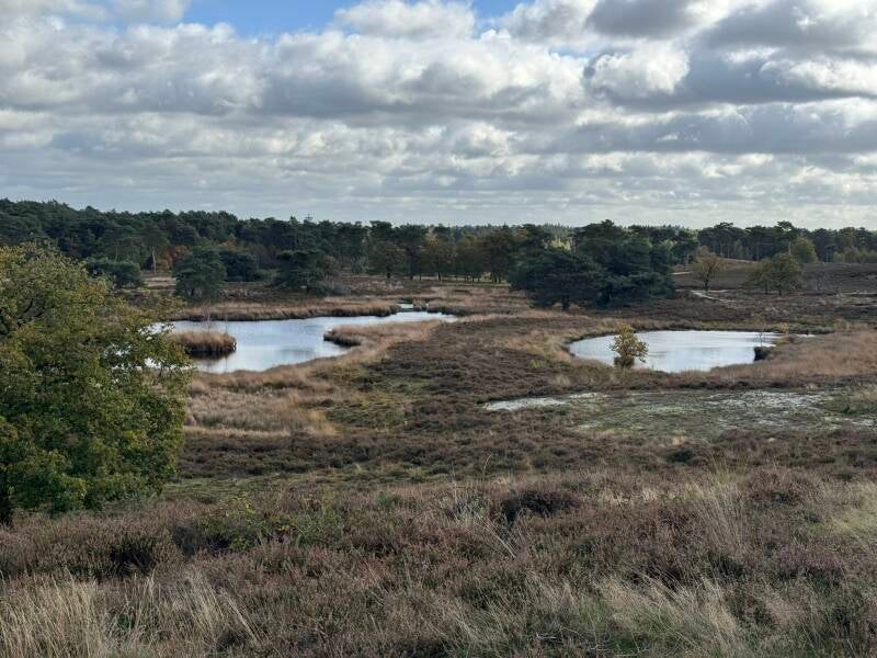 Maasduinen, Gravel, Gravel routes, Gravel bikes, Gravel fietsen, Natuur, Limburg, Noord Limburg, avontuur, glooiend gravel, glooiende gravelwegen, 40 45  50 mm banden, De Meinweg, Groesbeeks Bos, Reichswald, Rijkswoud, Hoogtemeters, Heuvels, Klimmen