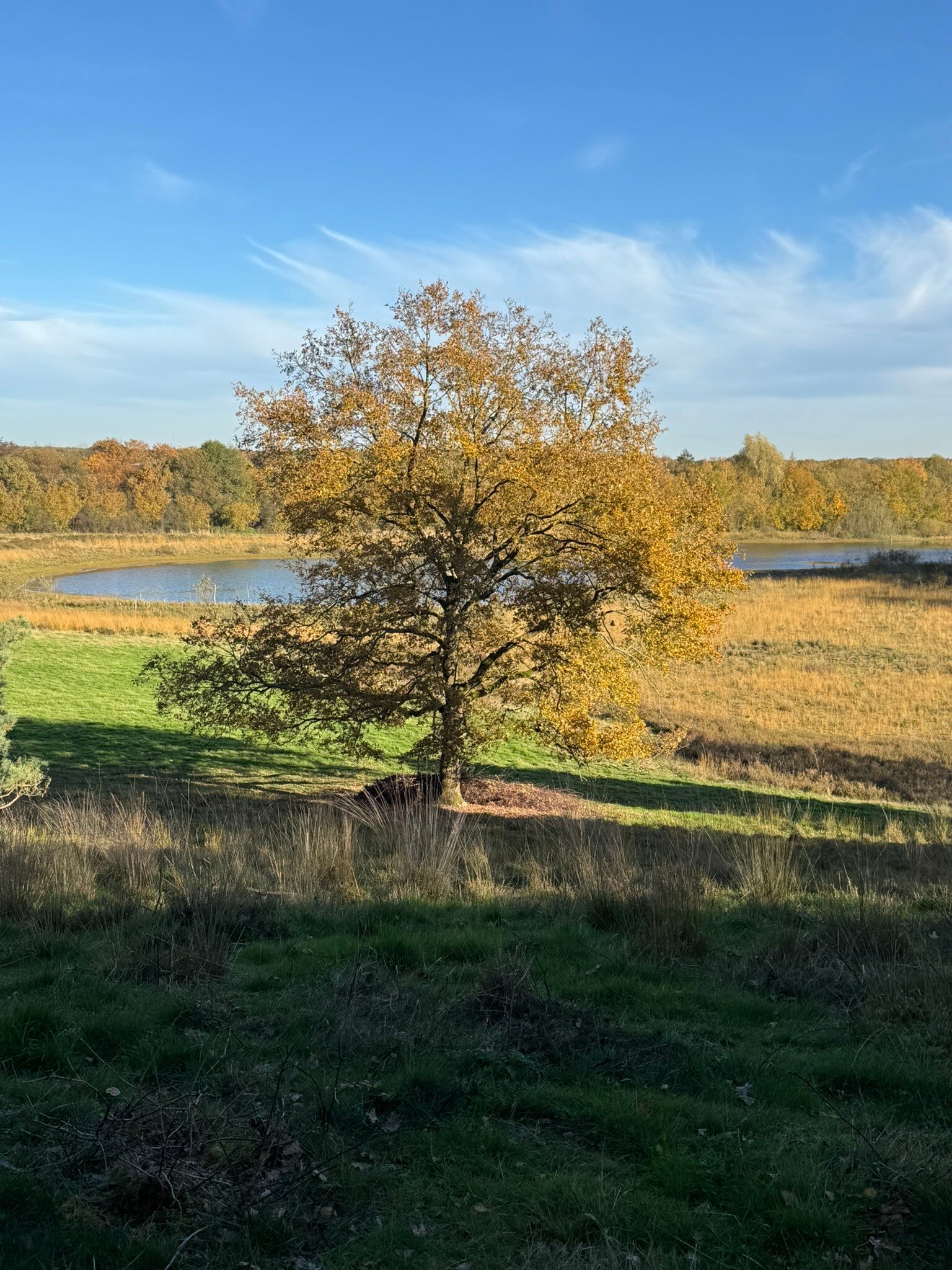 Maasduinen, Gravel, Gravel routes, Gravel bikes, Gravel fietsen, Natuur, Limburg, Noord Limburg, avontuur, glooiend gravel, glooiende gravelwegen, 40 45  50 mm banden, De Meinweg, Groesbeeks Bos, Reichswald, Rijkswoud, Hoogtemeters, Heuvels, Klimmen