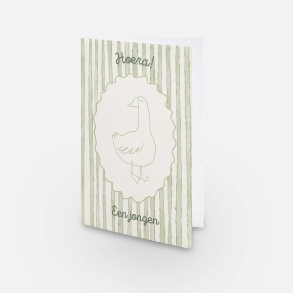 Geboortewenskaart - Gans jongen