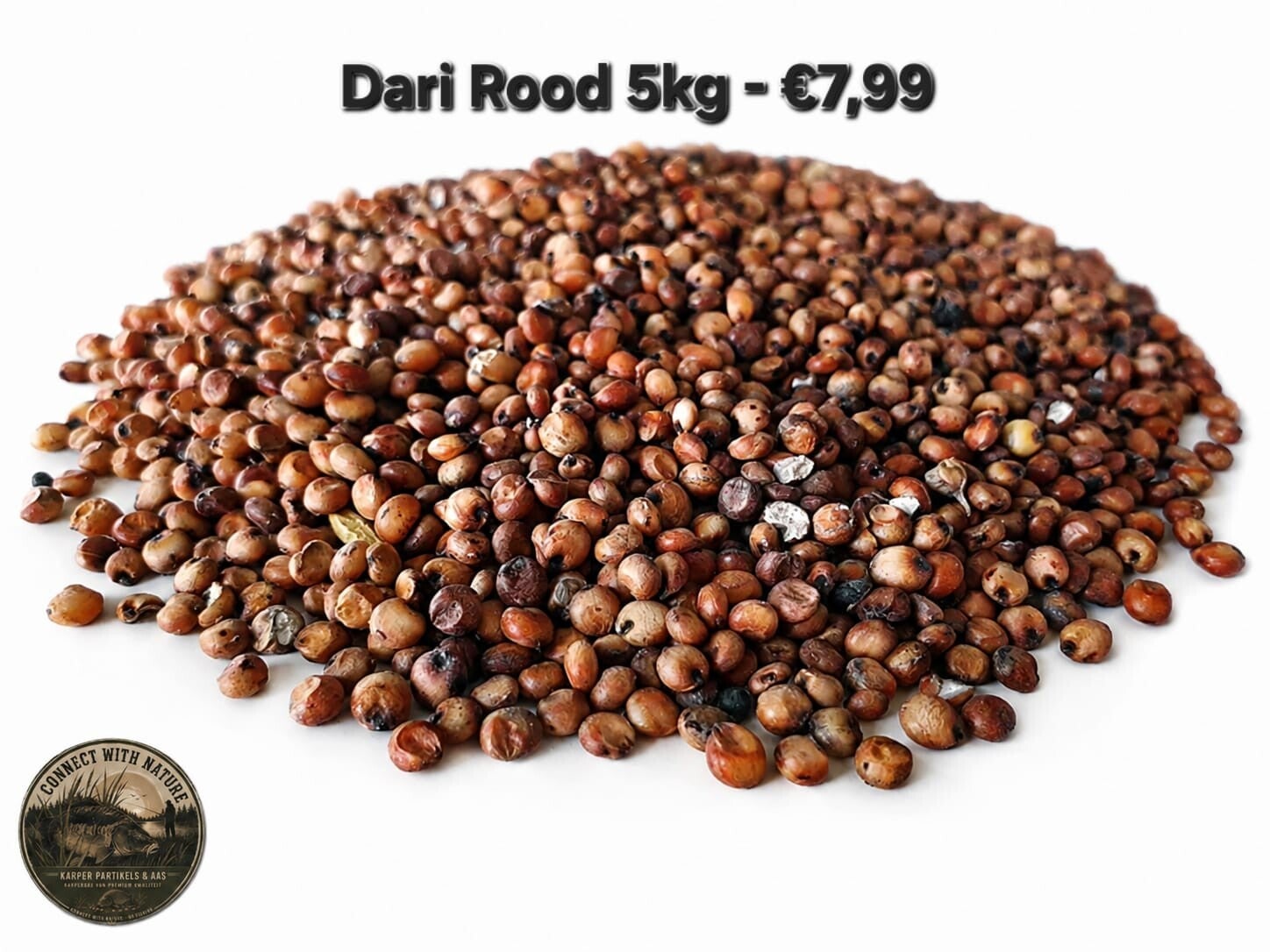 Dari rood 5 kg