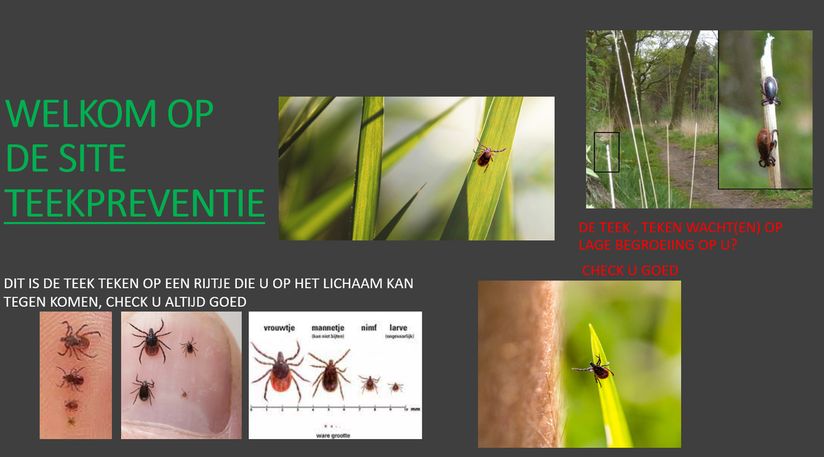Teekpreventie.nl