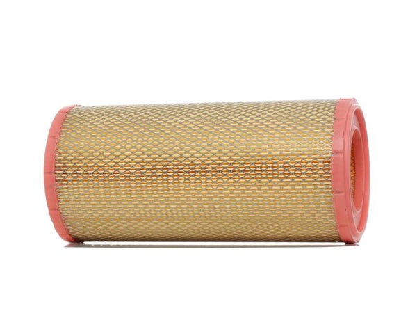 Filtro Aria 1903669