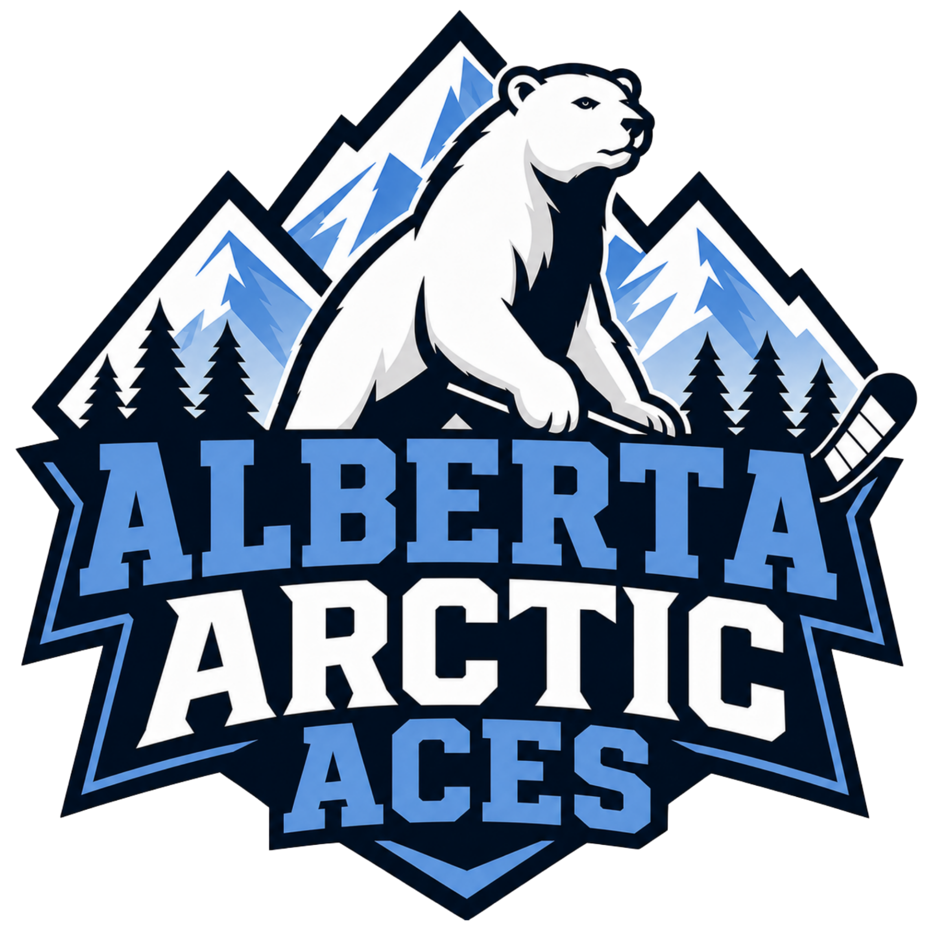 2013/2014 - 2027 Spring ID Skate