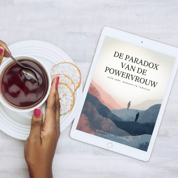 E-book De Paradox van de Powervrouw (tablet of smartphone)