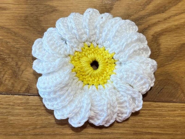 Madelief 8 cm