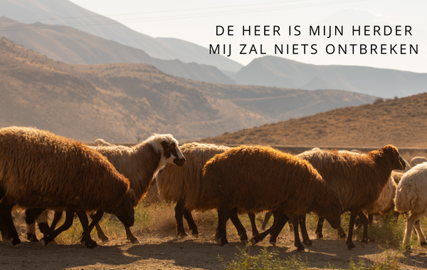Loes mini 28
