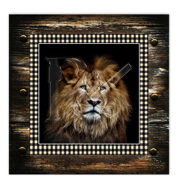 kaart Leon