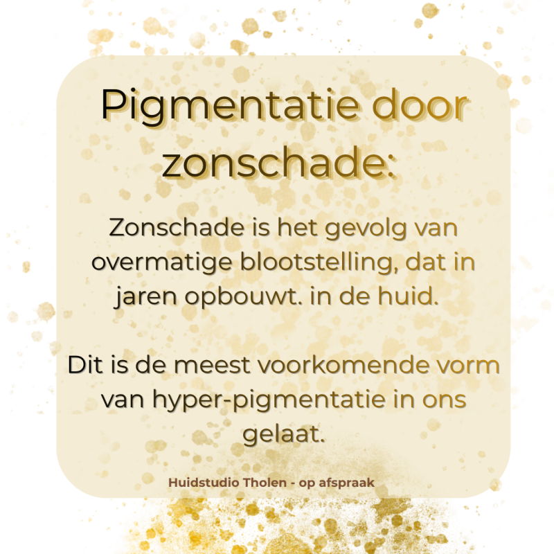 pigment-19-standard.png