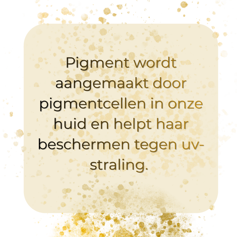 pigment-2-1-standard.png