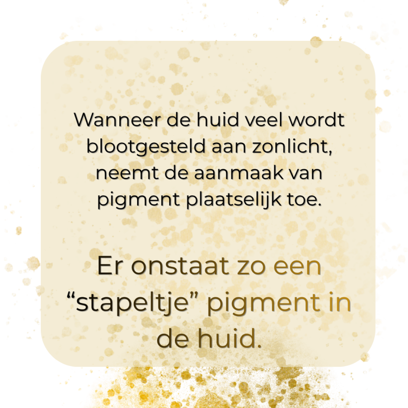 pigment-3-1-standard.png