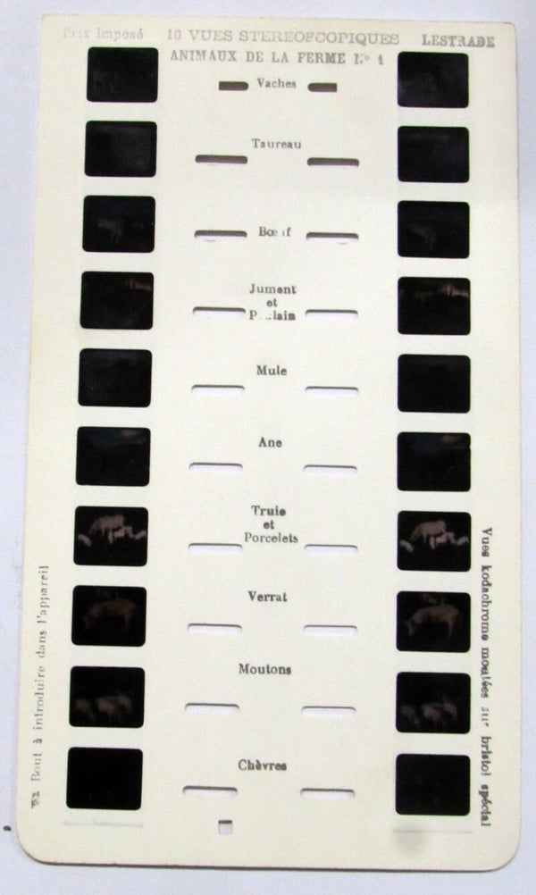 0000/01 - ANIMAUX de la FERME N°1 - CARTE STEREOSCOPIQUE LESTRADE 10 VUES - CARTE STEREOSCOPIQUE LESTRADE 10 VUES