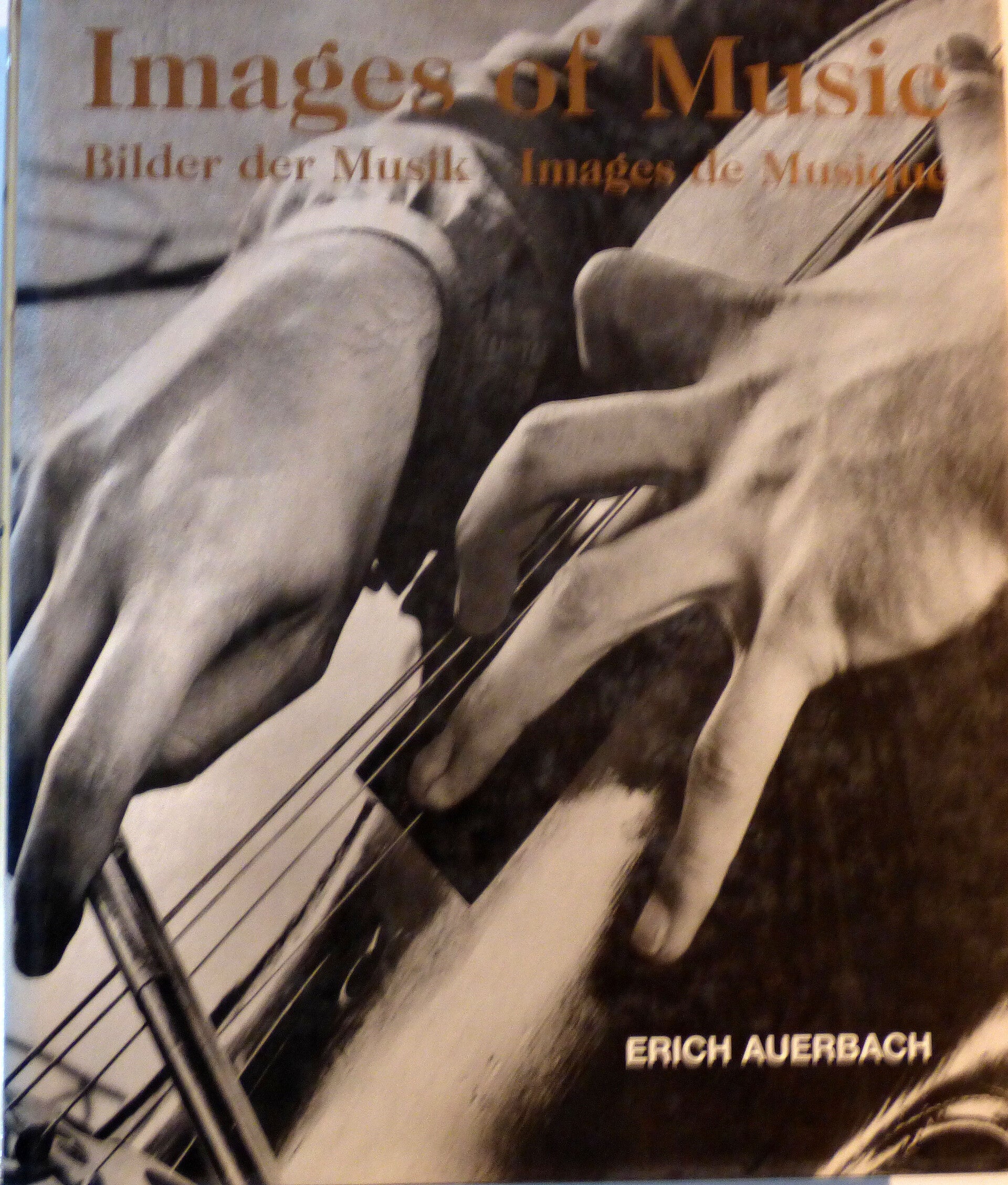 IMAGES DE MUSIQUE - ERICH AUERBACH - MICHAEL ROSE - LEON MEYER - 1996