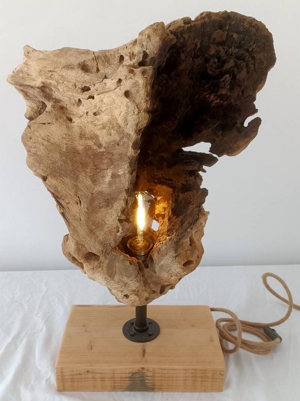Le coquillage