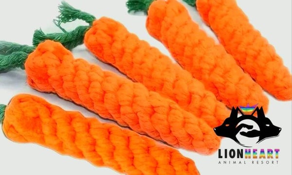 Hundehotel Kau Karotte