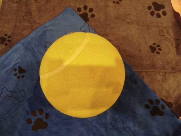 Großer Tennisball Hunde