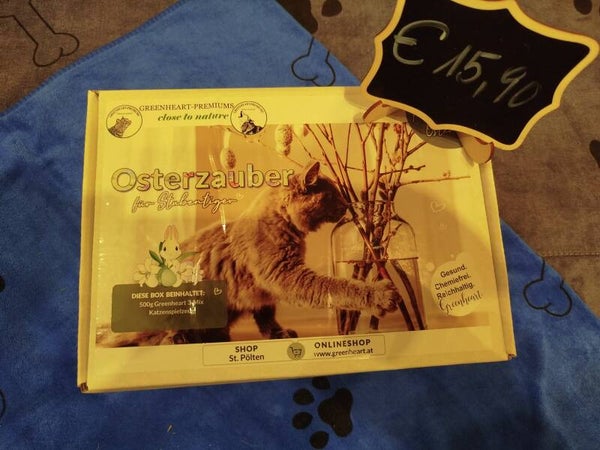 Greenhart Ostergeschenk Box für Katzen