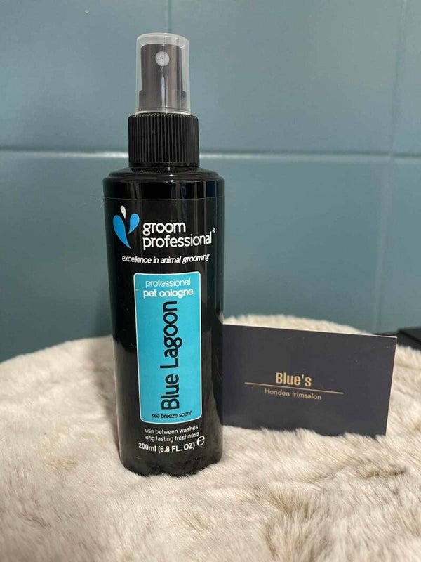 Parfum - Blue Lagoon