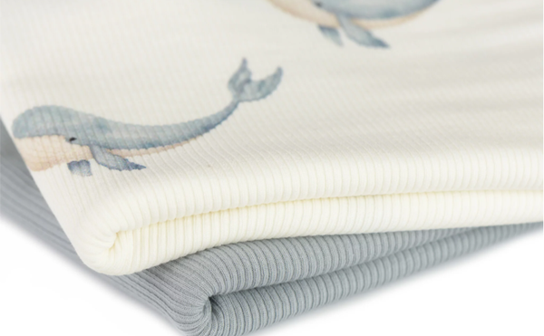 Legging Walvis