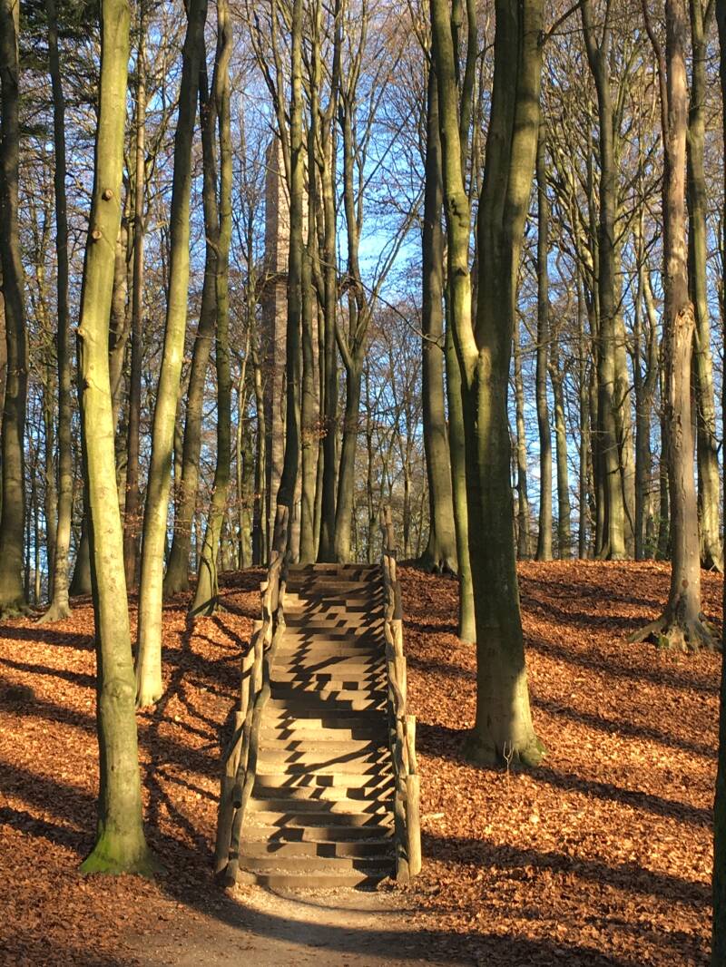 trap in het bos
