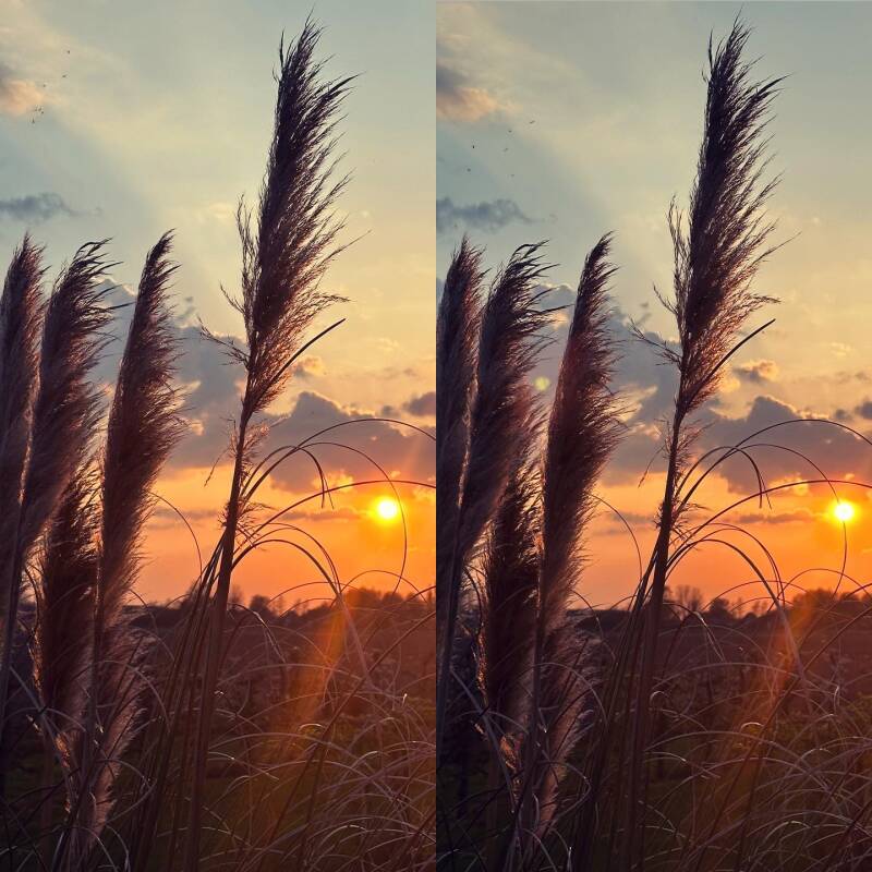 Zonsondergang 