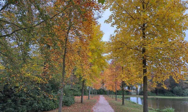 Park Cannenburch