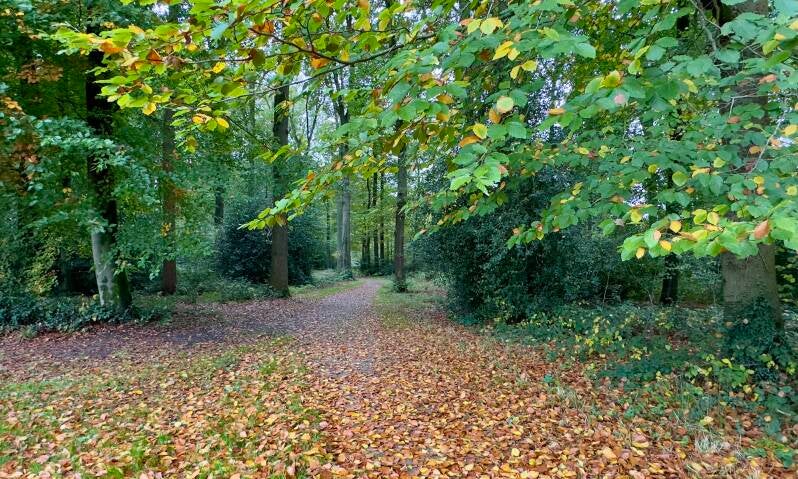 Park kasteel Cannenburch