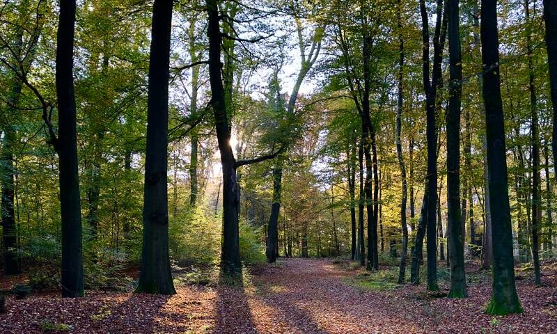 Park Rosendael 