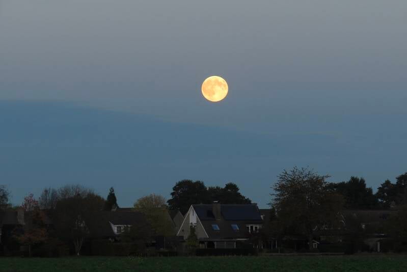 Beaver moon