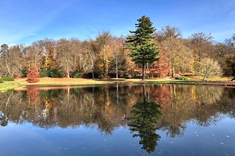 Kasteel Park Rozendaal 