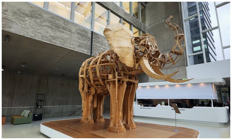Olifant van Hout Radboudumc tandheelkunde 