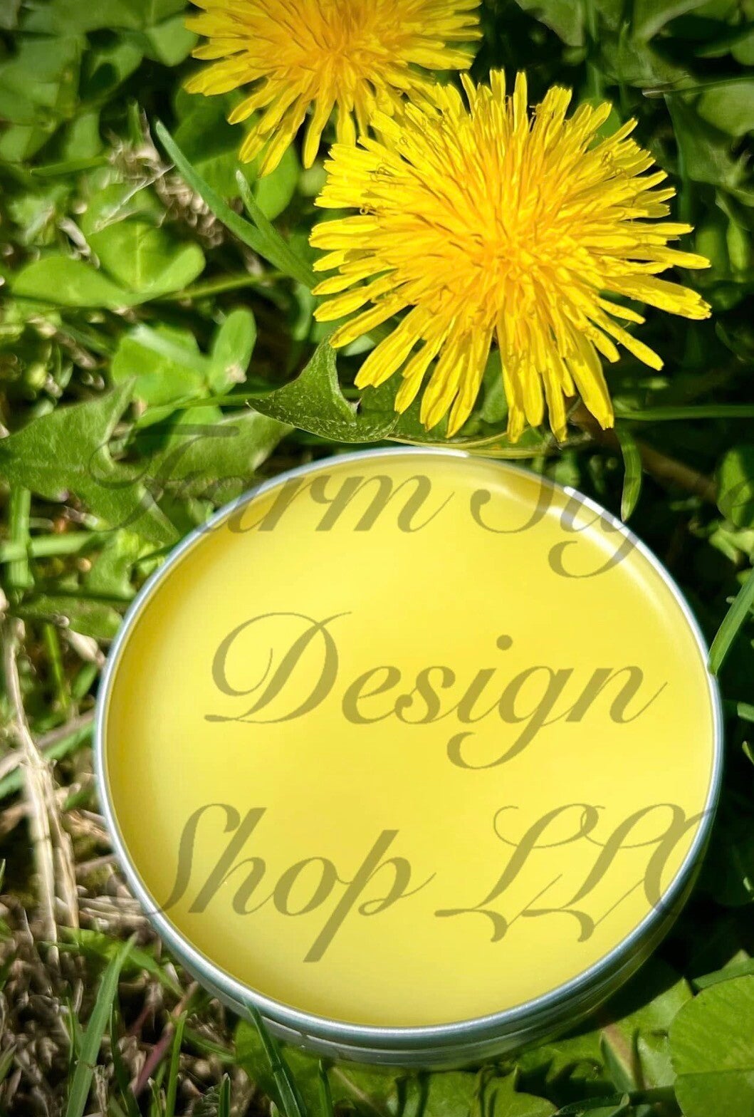 Dandelion Salve 2oz.