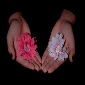 bloemen-1.jpg