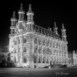 timstadhuis1.jpg