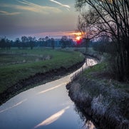 lummen1-1.jpg