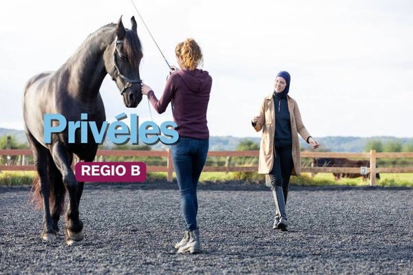 Privéles op jouw locatie regio B